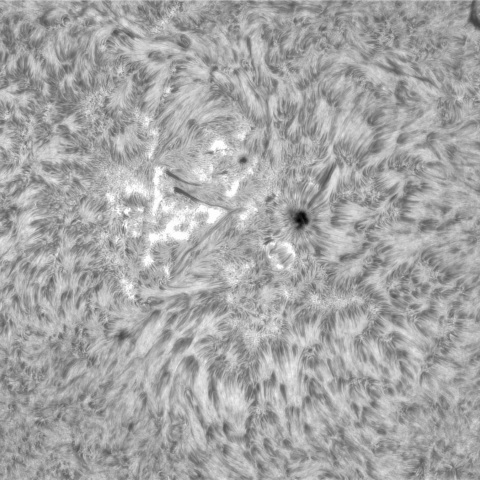 7月24日の太陽②（3379 ）