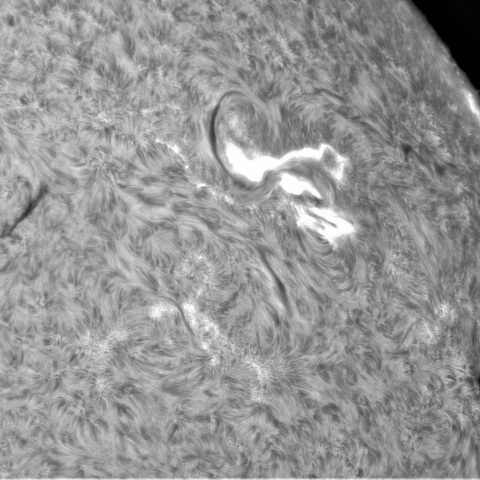 7月25日の太陽②（3376M1.5 フレア、3373）