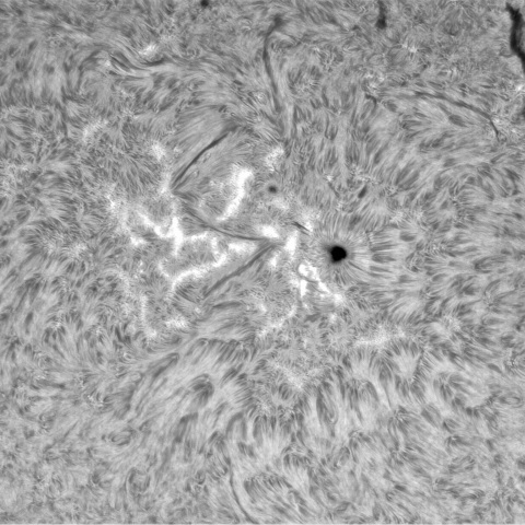7月25日の太陽①（3383，3382，3379）