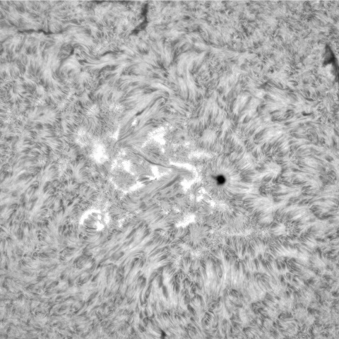 7月26日の太陽①（3383，3382，3379）