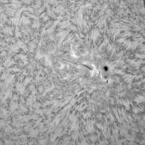 7月27日の太陽③（3383，3382，3379）