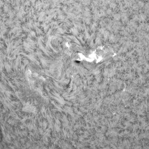 7月27日の太陽②（ 3384，3380 C6.6 フレア ）