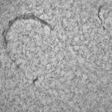 7月27日の太陽①（ 3386　フィラメント ）