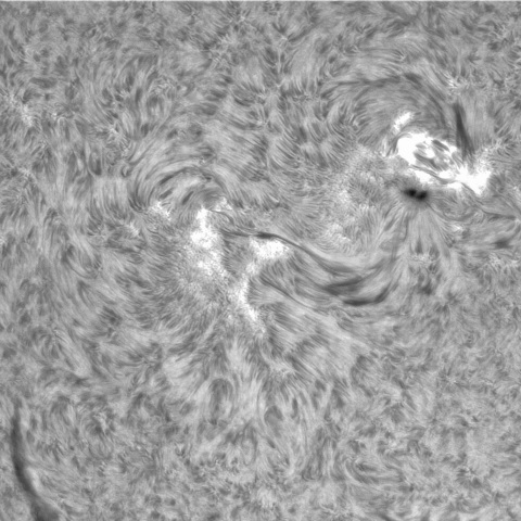 7月28日の太陽③（ 3388．3384．3380 ）