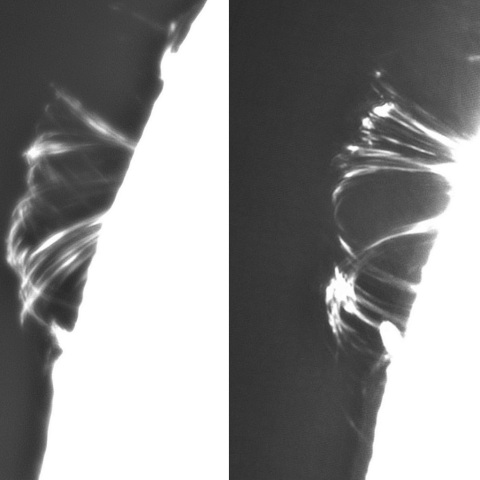 7月28日の太陽②（ ループプロミネンス 3387）