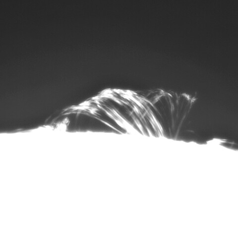 7月28日の太陽①（ ループプロミネンス3387）