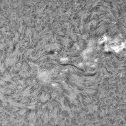 7月31日の太陽②（3384、3380）