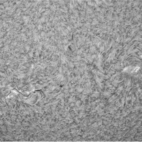 8月1日の太陽② （南半球）