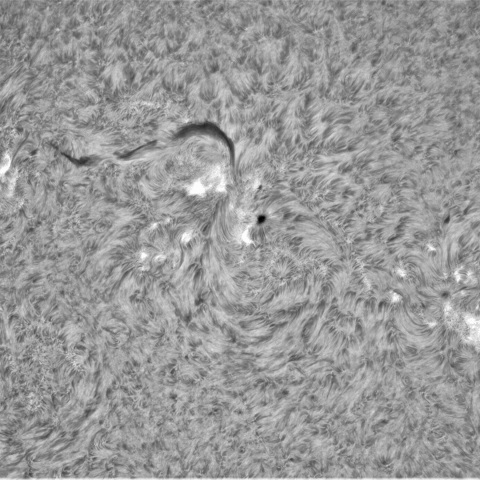 8月1日の太陽①（北半球）