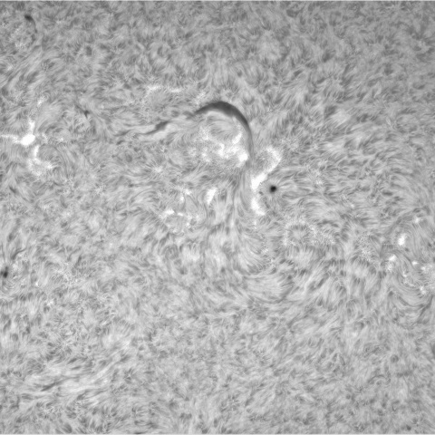 8月2日の太陽① （北半球）