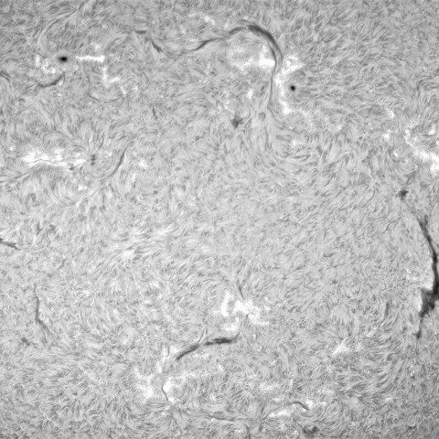 8月3日の太陽① （黒点帯）