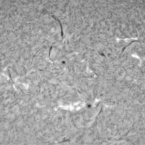 8月5日の太陽② （3391，3392，3393）