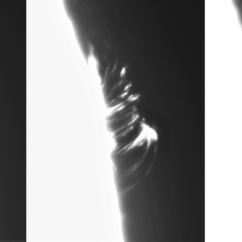 8月6日の太陽① （ ポストフレアループⅥ  3386）