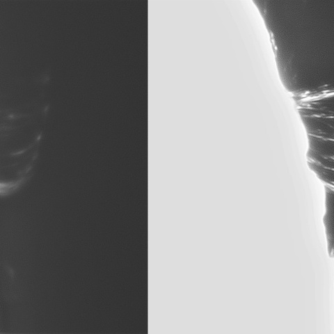 8月7日の太陽② （ ポストフレアループⅦ　3386）