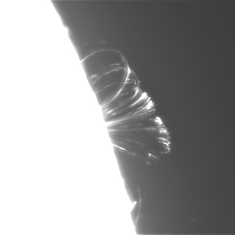 8月8日の太陽 （ポストフレアループⅧ　3386）