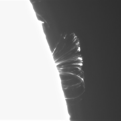 8月8日の太陽 （ポストフレアループⅧ　3386　訂正）