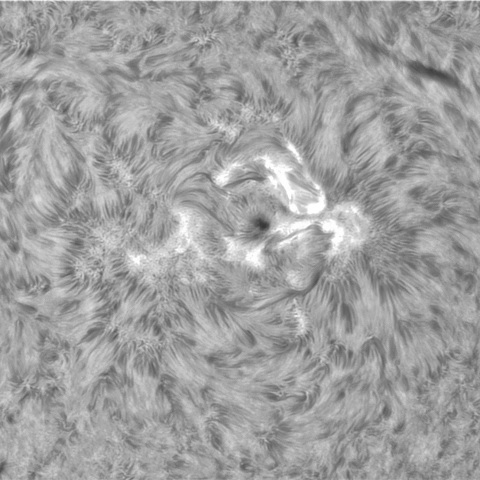 8月 11日の太陽①（3395）
