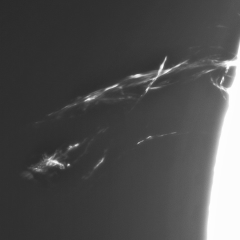 8月 11日の太陽（プロミネンス噴出1）