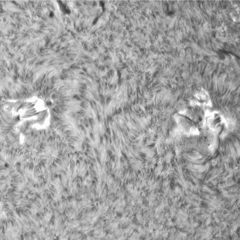 8月 13日の太陽②（3397、3395）