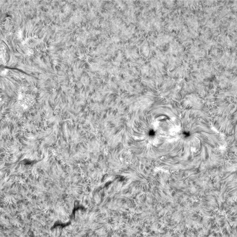 8月 17日の太③（3404，3407，3408）