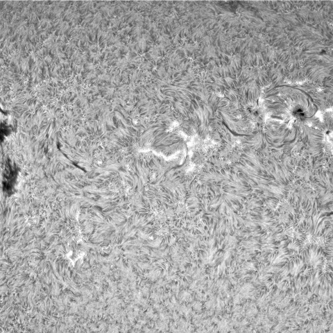 8月 17日の太②（3405，3403，3409）