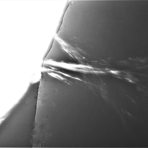 8月 17日の太①（プロミネンス噴出　南西縁）