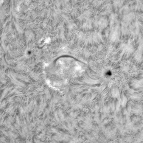 8月 19日の太陽③ （3411，3405）