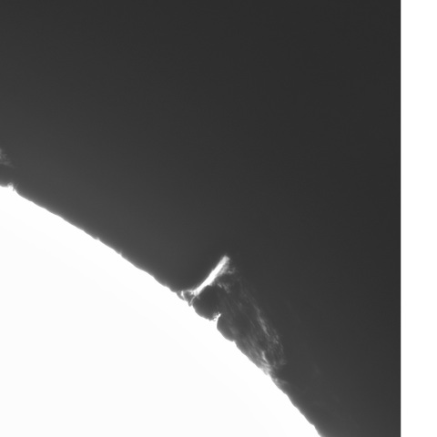 8月 19日の太陽① （プロミネンス1）