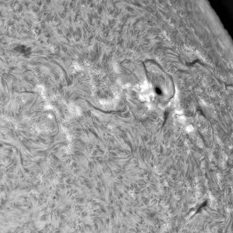 8月 20日の太陽② （3403、3409）