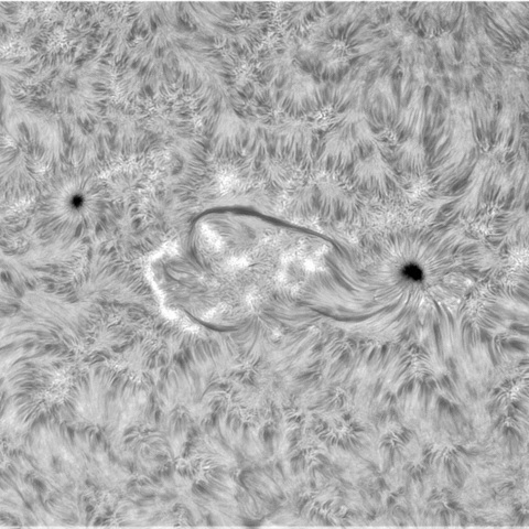 8月 20日の太陽① （3411、3405）