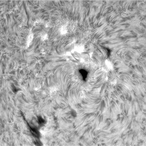 8月 25日の太陽② （3413）