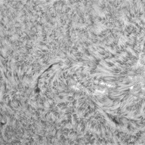 8月 25日の太陽① （3415　南東面）
