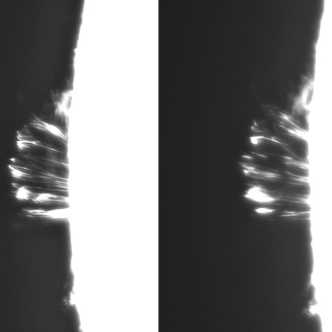 8月 27日の太陽 ③（ポストフレアループⅨー2　東端）