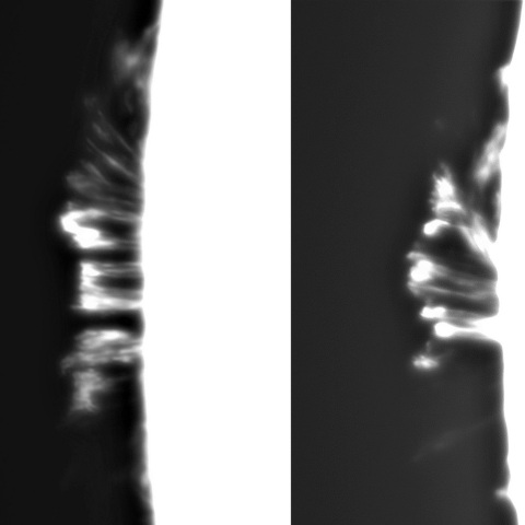 8月 27日の太陽②（ポストフレアループⅨー1　東端）