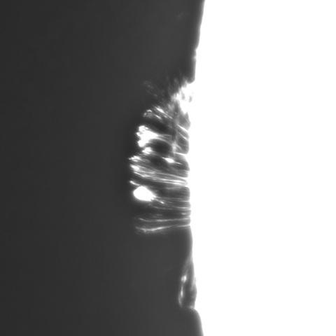 8月 27日の太陽①（ポストフレアループⅨ　東端）