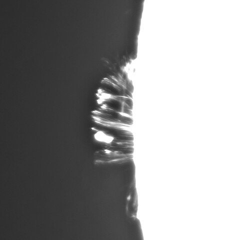 8月 27日の太陽 （ポストフレアループⅨ　東端）