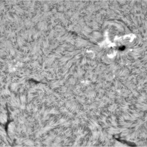 8月 29日の太陽② （3416，3415）