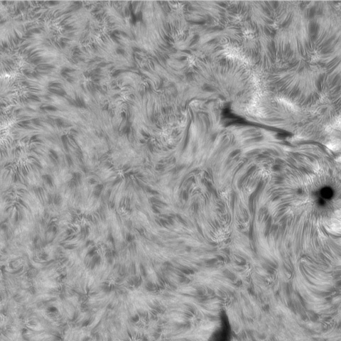 8月 29日の太陽① （3413）