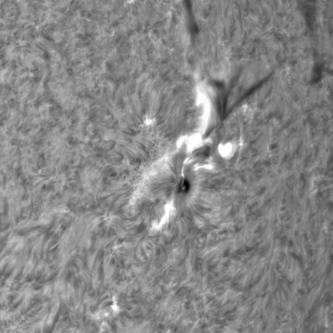 9月1日の太陽③ （3415　フィラメント噴出）