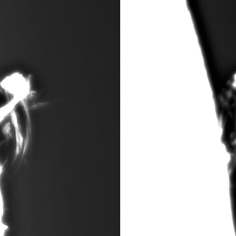 9月3日の太陽 （3413　プロミネンス）