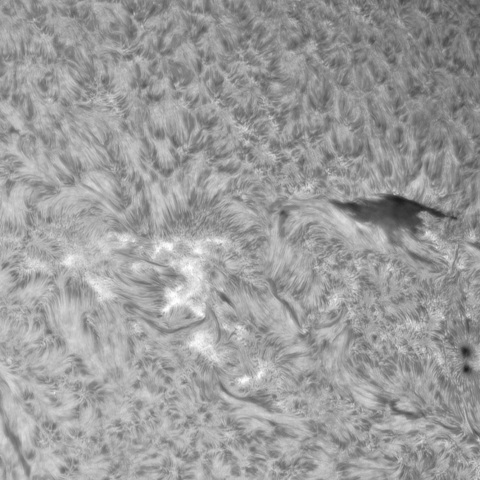 9月 14日の太陽①（3425，3423）