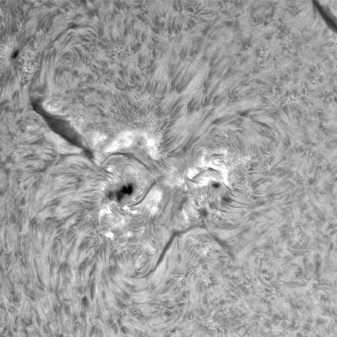 9月 20日の太陽①（3440，3435，3438）