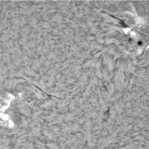 9月 24日の太陽③（3445M4.4フレア，3442，3435）