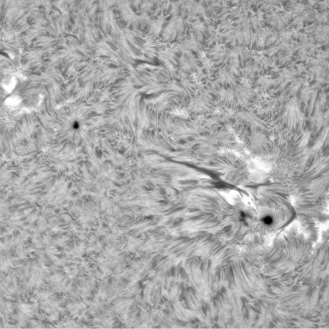 9月 24日の太陽②（3444，3440，3435）
