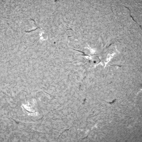 9月 24日の太陽①（黒点帯）
