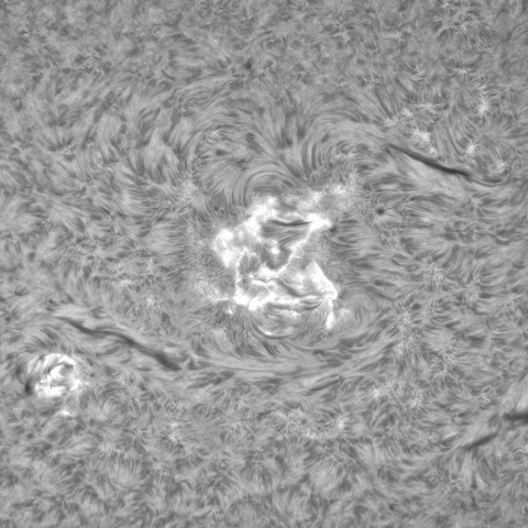 9月 25日の太陽②（3445，3442）