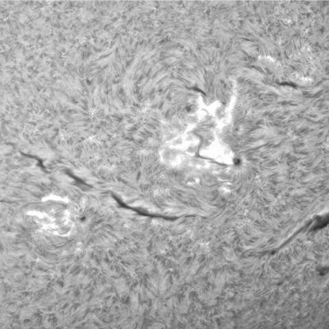 9月 27日の太陽①（3447，3445，3442）