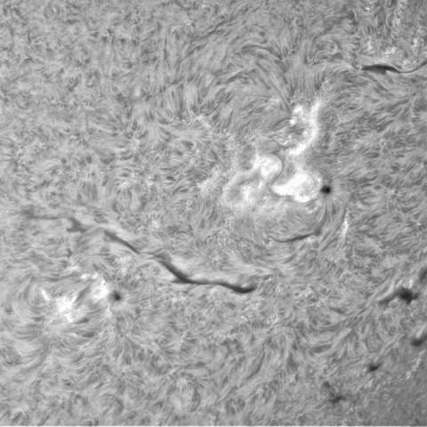 9月 28日の太陽③（3447，3445，3442）