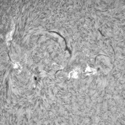 9月 28日の太陽①（3448、3449）