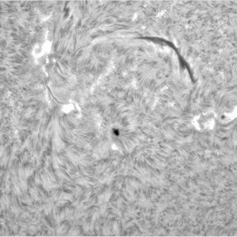 9月 29日の太陽②（3448，3449）
